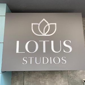 Lotus Studios